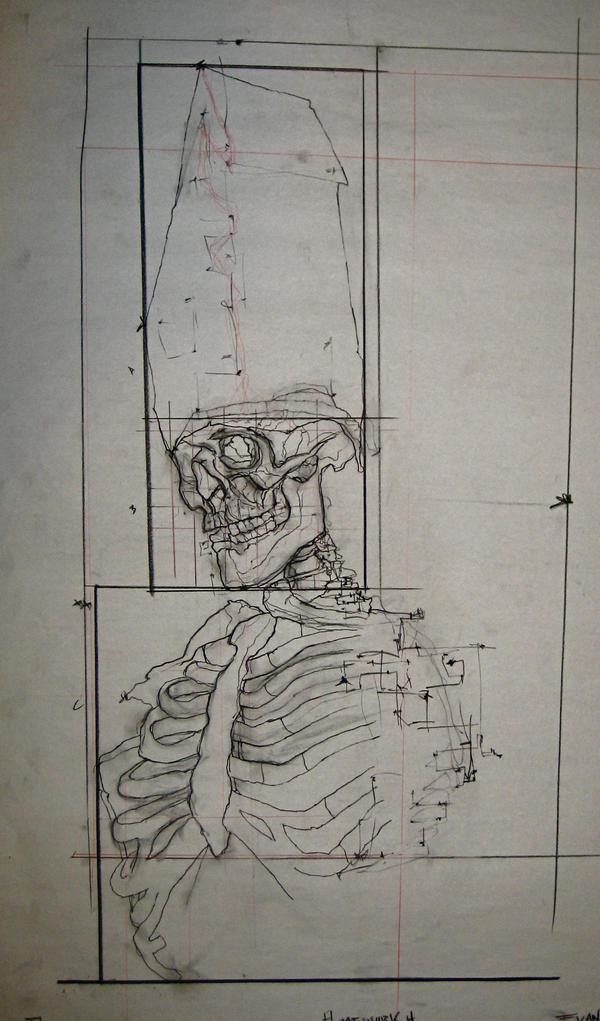 Architecture of the Human Body