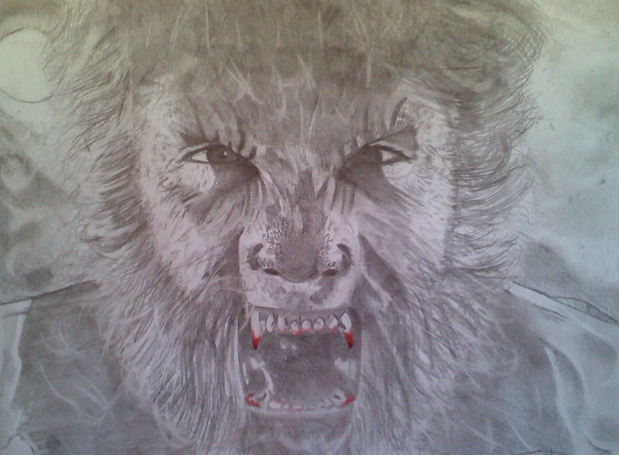 Wolfman Drawing by GraphiteGreat on DeviantArt