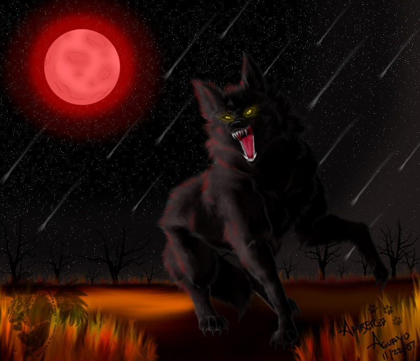 Wolf of my Dreams by PinkScooby54 on DeviantArt