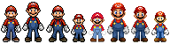 The Many Faces of Mario