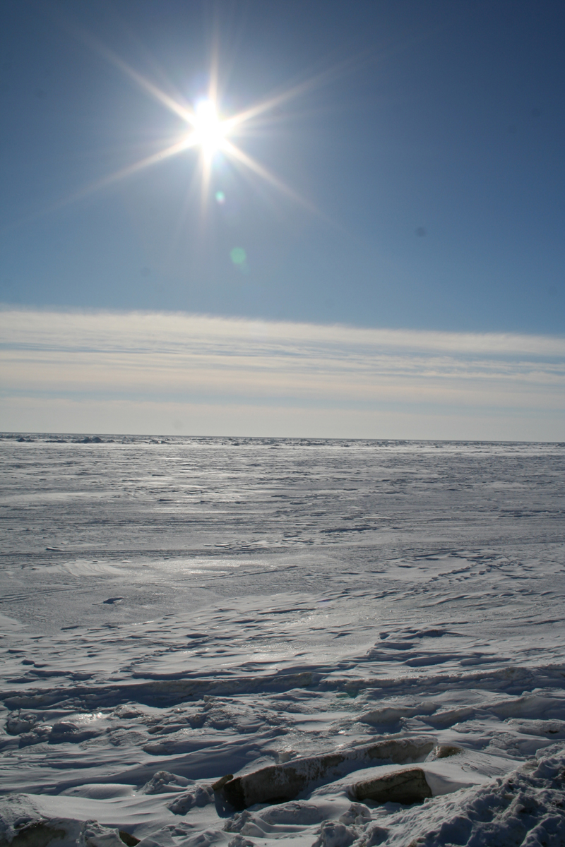 Frozen Bering Sea