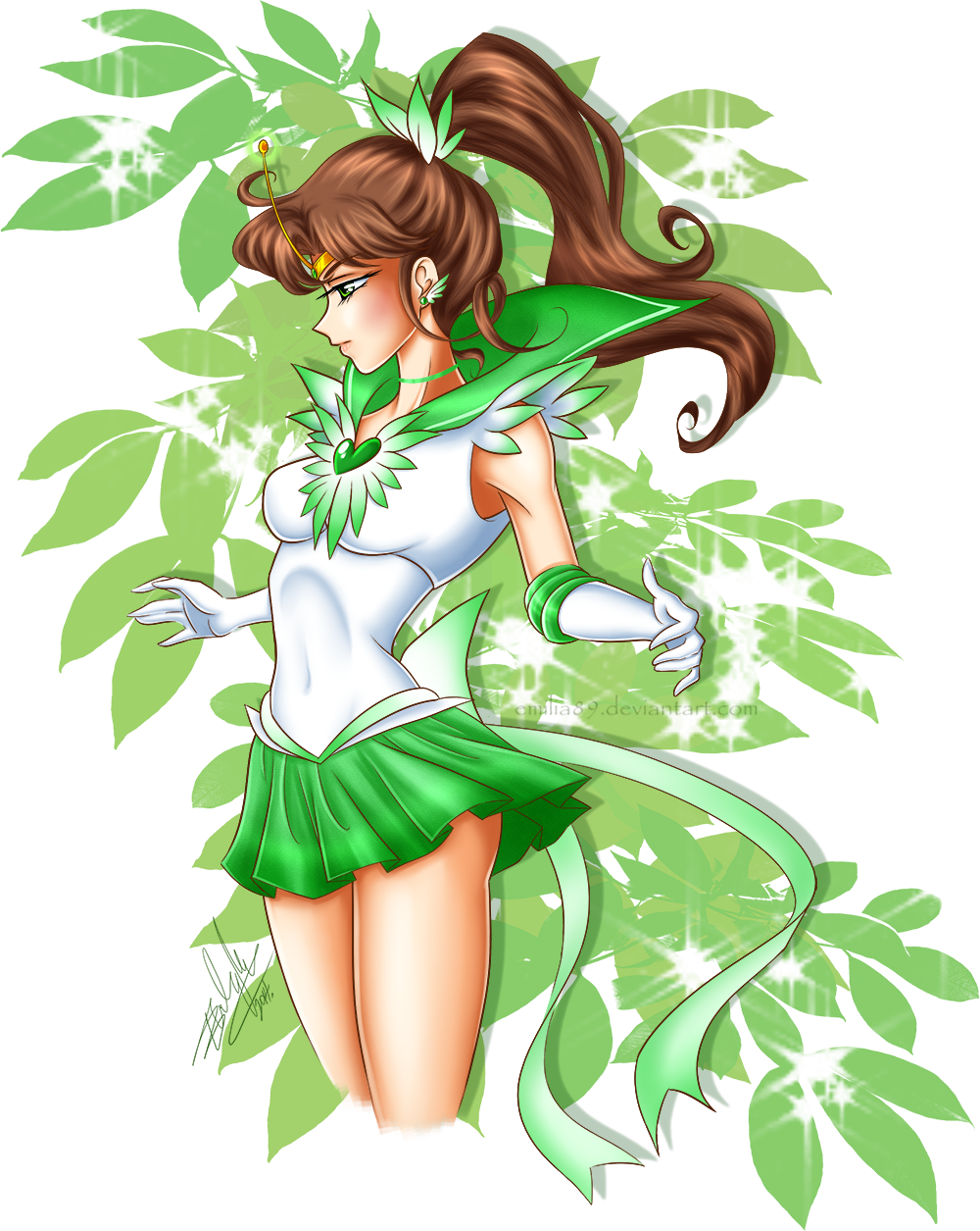 Sailor jupiter