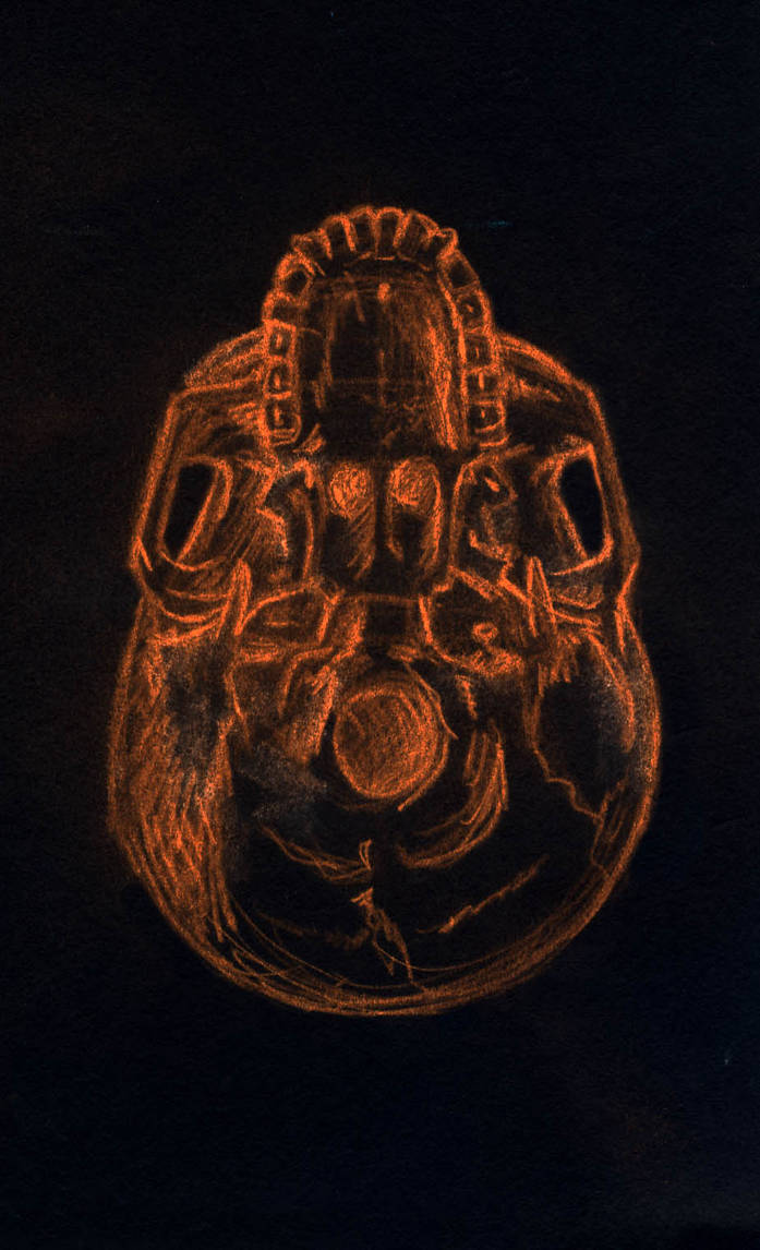 human skull -bottom view by drone-otd-obsone on DeviantArt