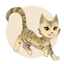 Hazelpaw