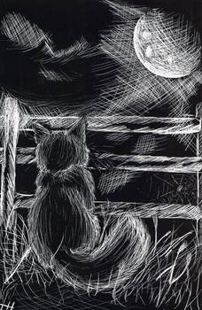 The Cat Who Loved The Moon