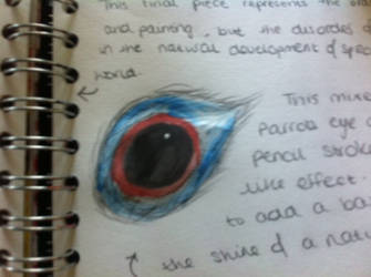 GCSE Art, Sketchbook 4, Order+Disorder, Parrot Eye