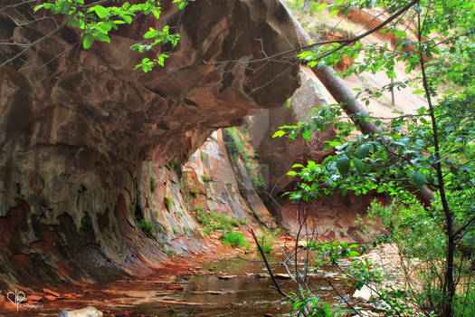 Creek in Sedona