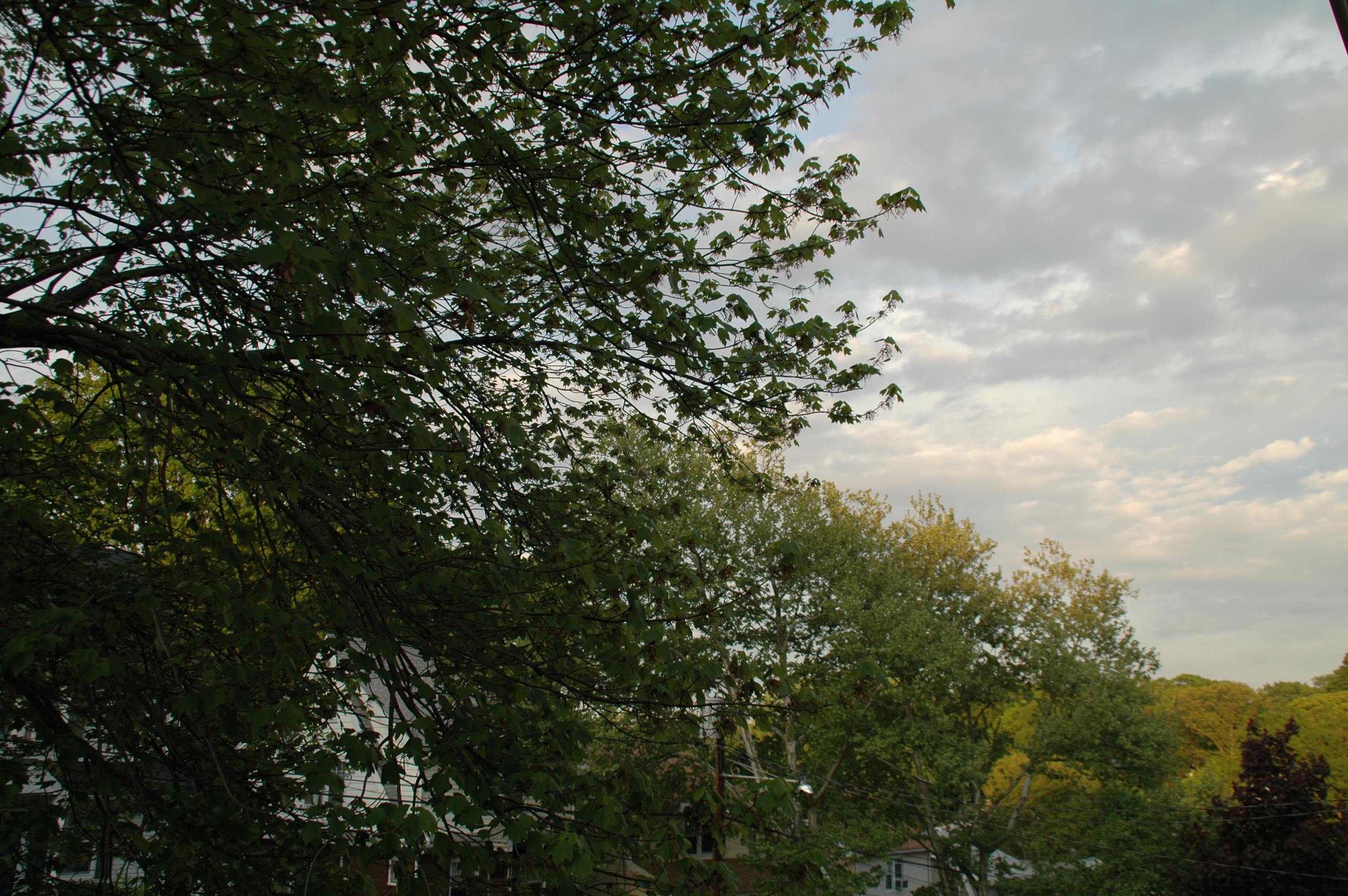 Atop a Hill