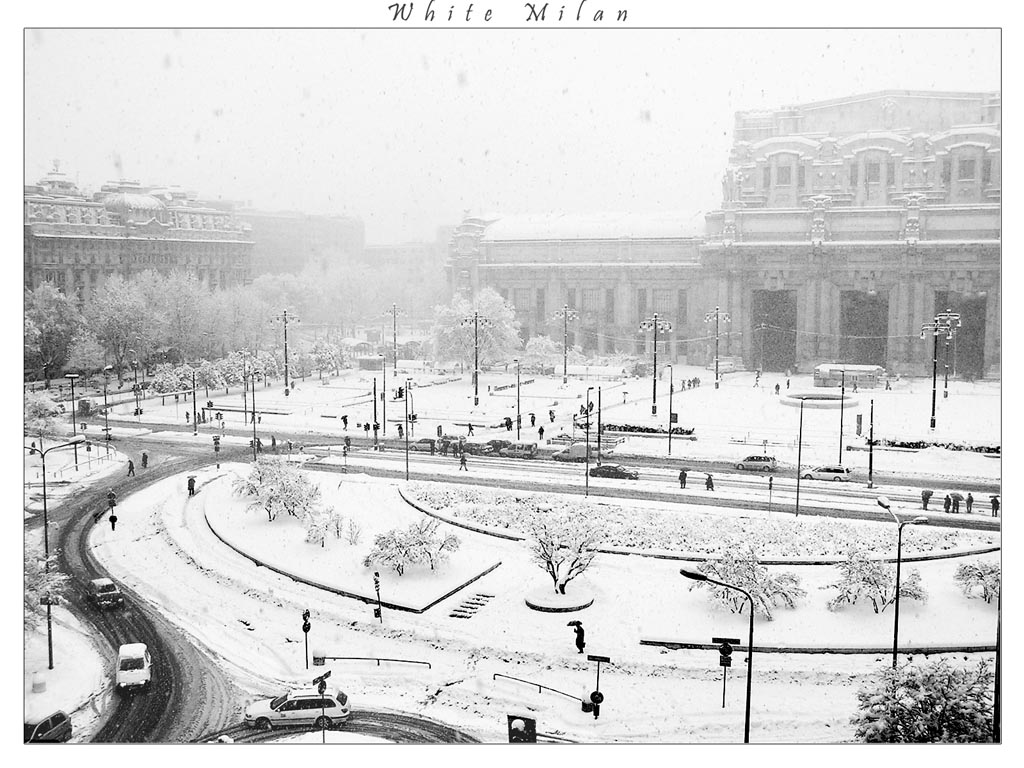 White Milan