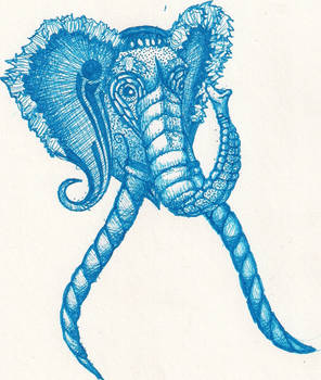 Sea Elephant