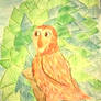 Late Summers Owl