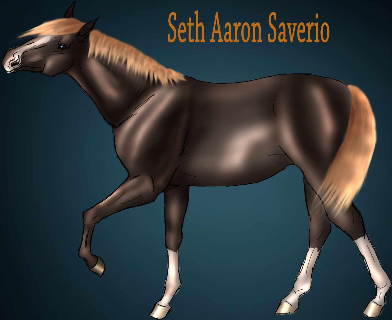 Seth Aaron Saverio- drawing for Adoption2