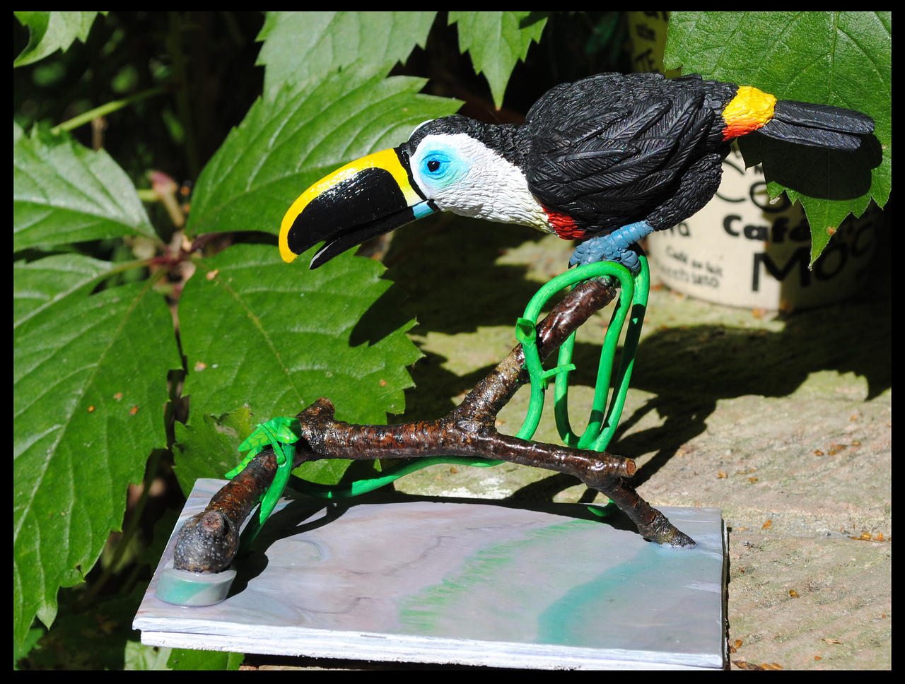 Channel-billed Toucan