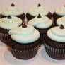 Mint Chocolate Chip Cupcakes