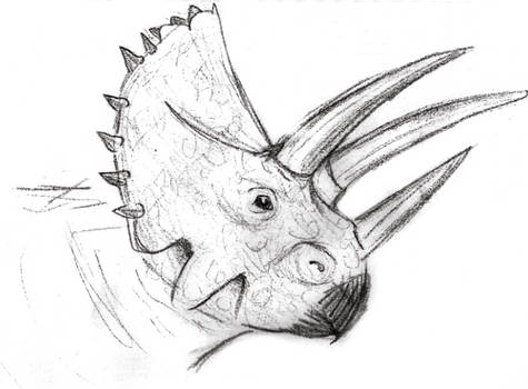 triceratops sketch