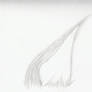 Cat Ear