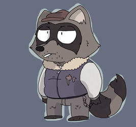 A raccoon