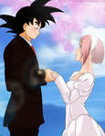 Goku x Sakura by Amenoosa