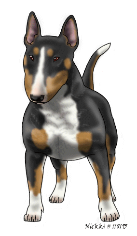 Tricolor Bull Terrier by Spuds N Buds club on DeviantArt