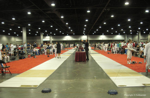 Fencing in Georgia by Forbearnan