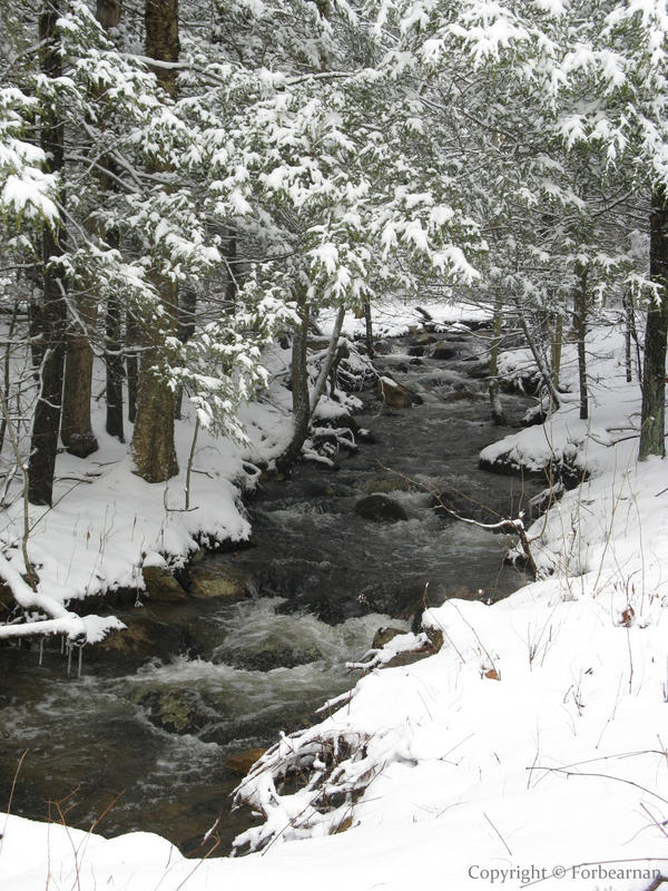A small stream by Forbearnan