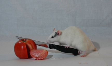 Ferdinand and his giant tomato