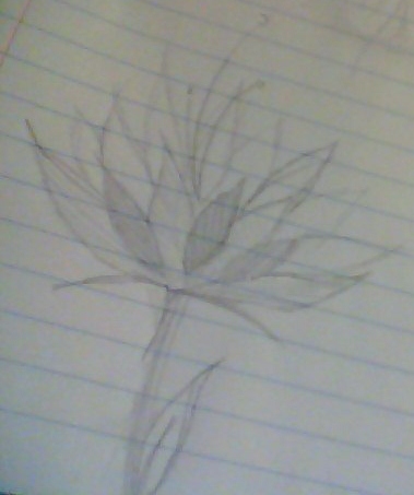 random flower