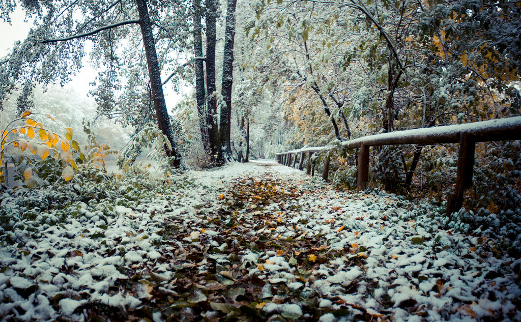 from fall to winter by DanielGliese on DeviantArt