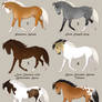 Horse Design Adopts *reduced*