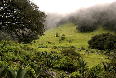 Sierra de Alvarez