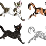 Warrior Cat Adopts