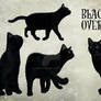 Black Cat Overlays.