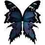 wings FREE png Overlay.