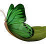 Butterfly Boat Png Overlay.