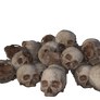 Pile of Bones Png Overlay,