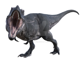 Tyrannosaurus Rex Png Overlay.