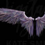 Feathered Angel Wings Png Overlay.