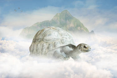 A Tortoise Ride Digital Backdrop / Background.