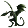 Dragon Png Overlay.