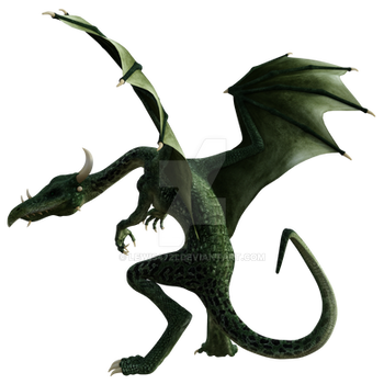 Dragon Png Overlay.