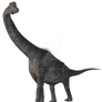 Brachiosaurus Dinosaur Png Overlay.