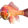 Gold Fish Png Overlay.
