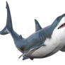 Great White Shark Png Overlay.