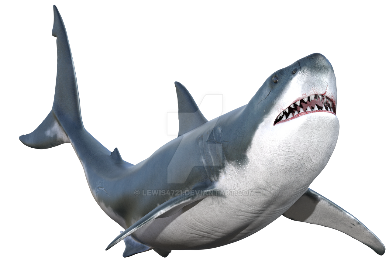 Great White Shark Png Overlay. by lewis4721 on DeviantArt