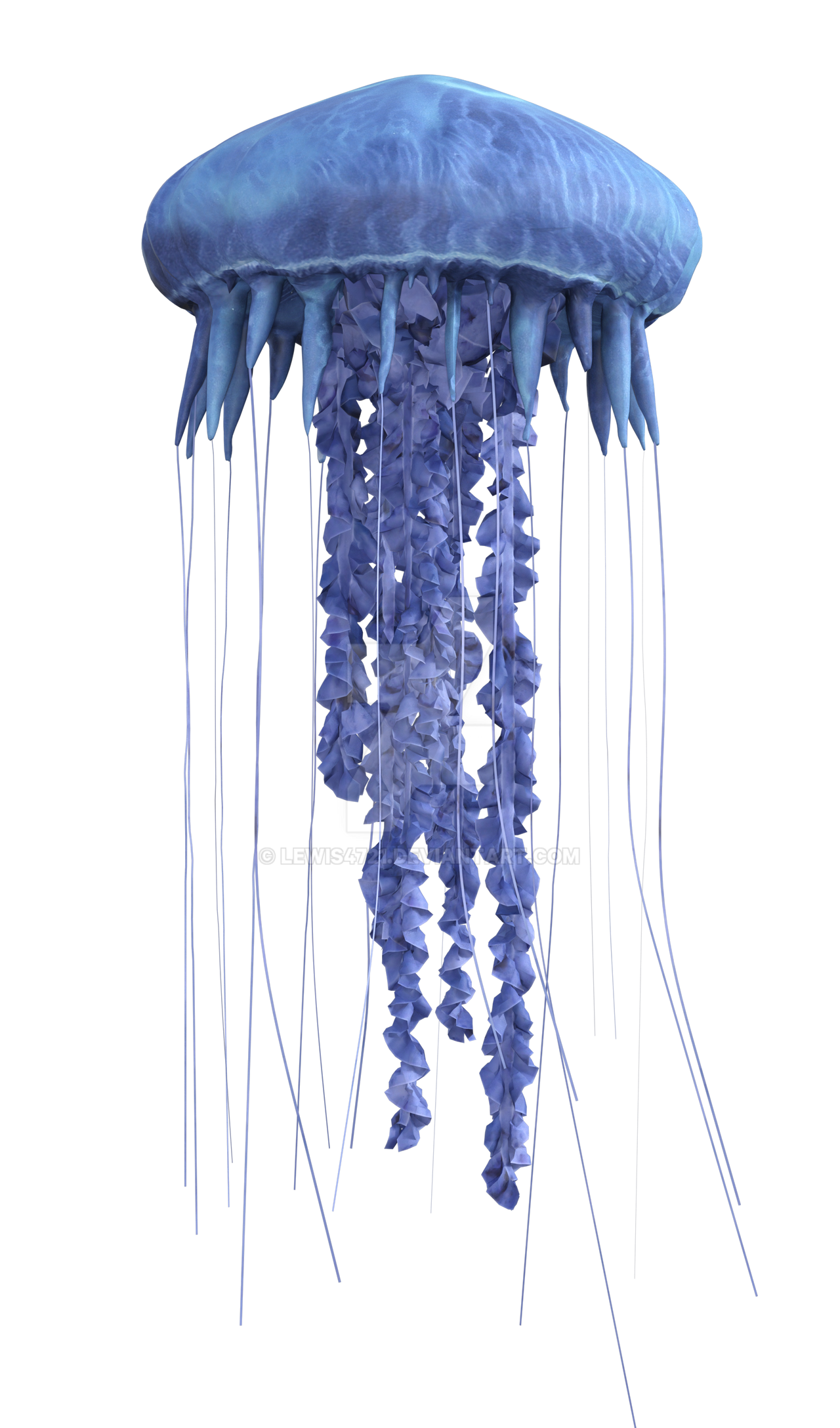 Jellyfish Png Overlay.