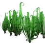 Fern Png Overlay.