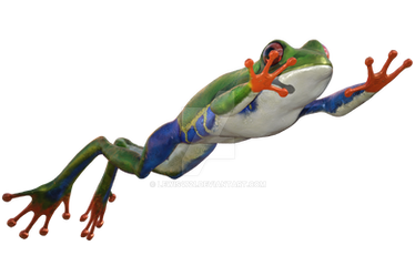 Tree Frog Png Overlay.