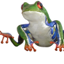 Tree Frog Png Overlay.