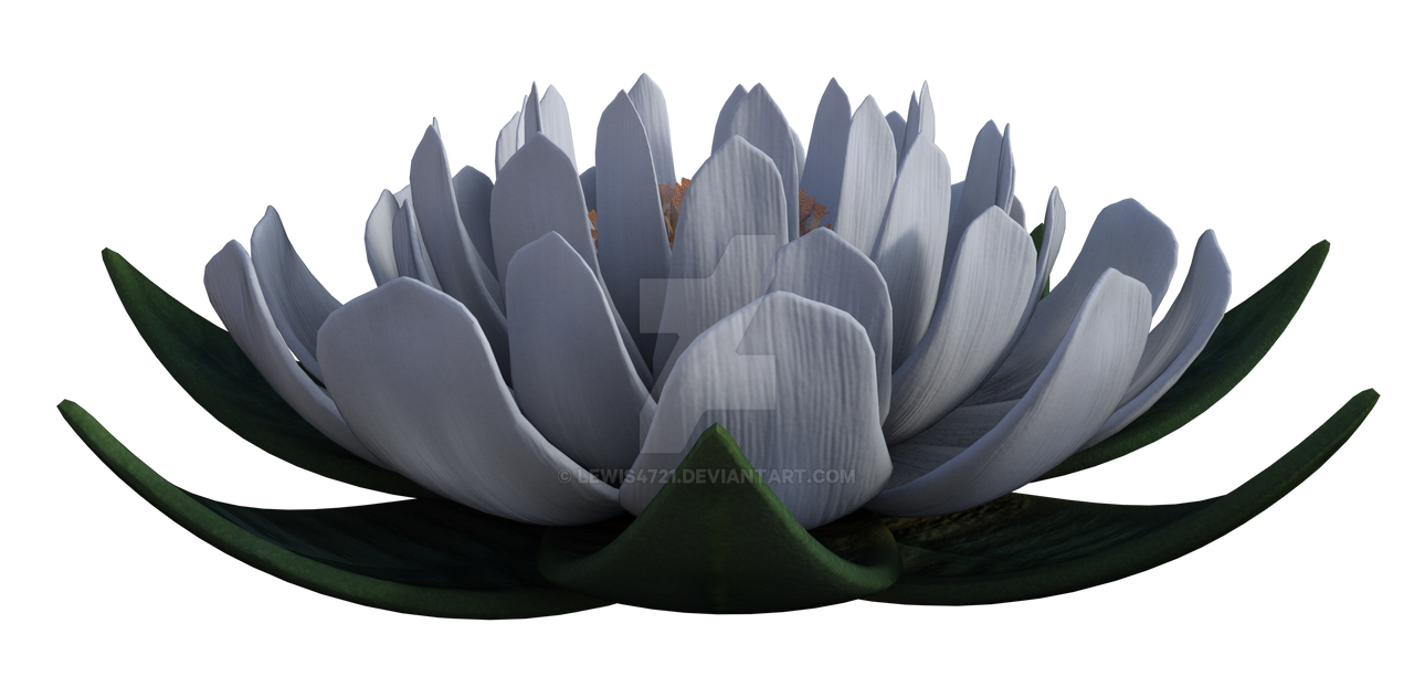 White Lotus Flower Png Overlay By Lewis4721 On Deviantart White Lotus Flower Png Overlay By Lewis4721 On Deviantart