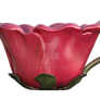 Red Flower Teacup, png overlay.